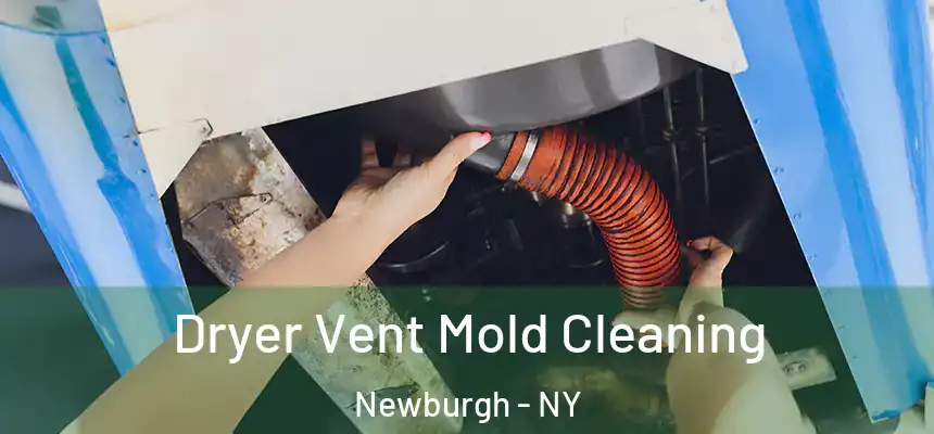 Dryer Vent Mold Cleaning Newburgh - NY