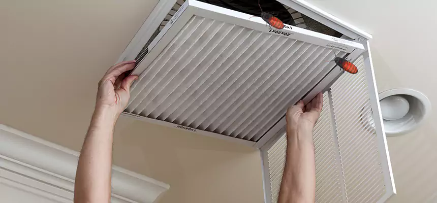 Preventive Cockroach-Proofing for Ducts in Newburgh