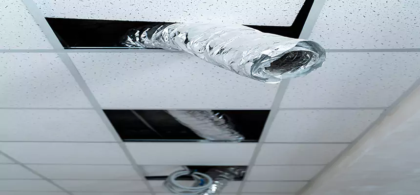 Affordable HVAC Sanitizing After Pest Removal in Newburgh