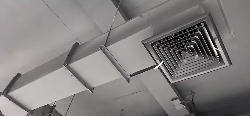 Our Pest Removal From Ducts Services in Newburgh, NY