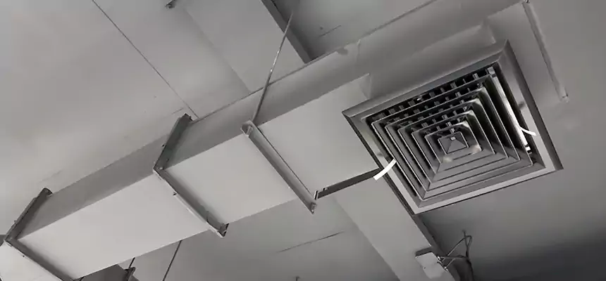 Our Rodent Droppings In Vents Services in Newburgh, NY