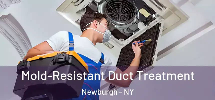 Mold-Resistant Duct Treatment Newburgh - NY