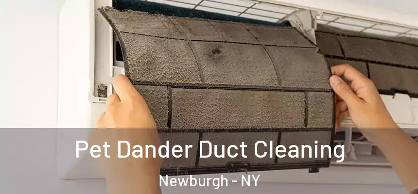 Pet Dander Duct Cleaning Newburgh - NY