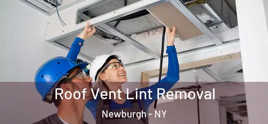  Roof Vent Lint Removal Newburgh - NY