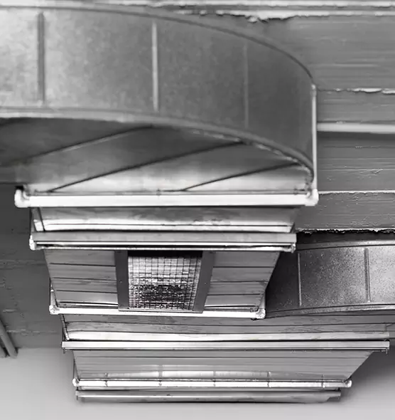 Professional Air Duct Pest Removal in Newburgh, NY